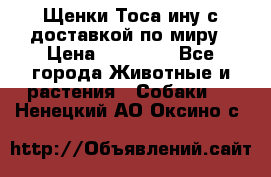 Щенки Тоса-ину с доставкой по миру › Цена ­ 68 000 - Все города Животные и растения » Собаки   . Ненецкий АО,Оксино с.